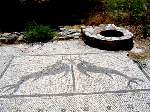 mosaque des dauphins  
